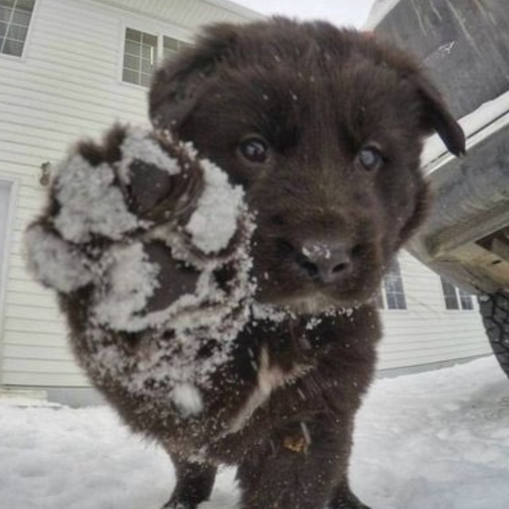 Meet your Posher, Kat